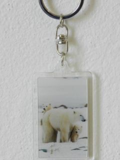 Obrázek z Klíčenka 3D 3,6x5,6cm - lední medvěd(12) 
